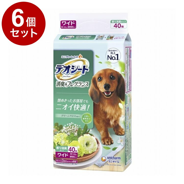 鳥毛布団特集