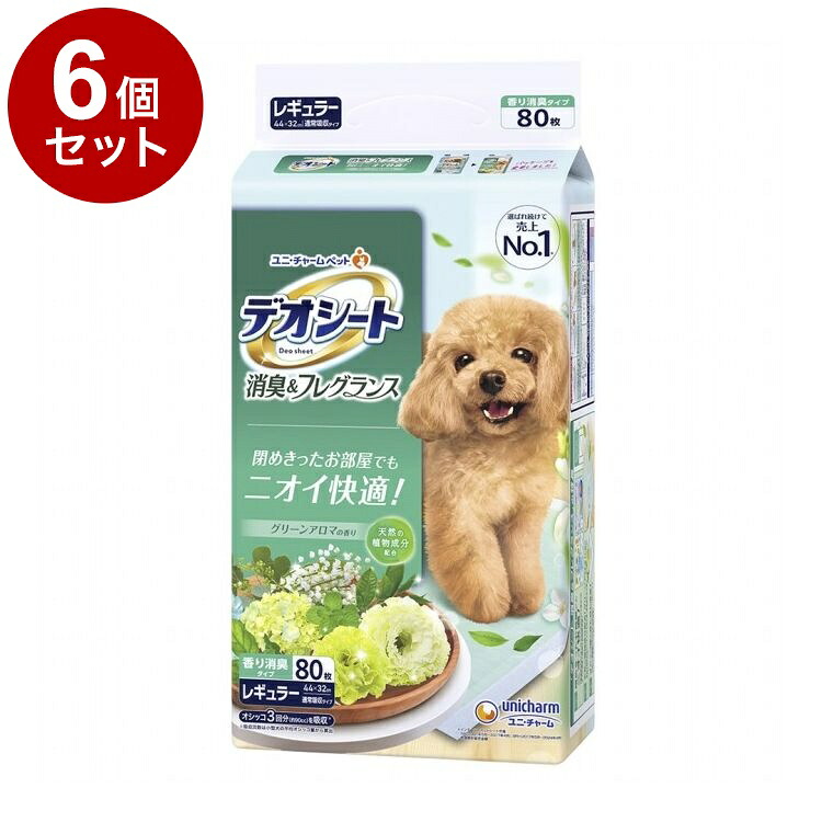 綿毛布団特集