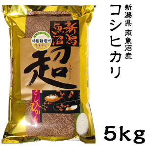 米 日本米 特Aランク 令和元年度産 新潟県 南魚沼産 コシヒカリ 超米（とびきりまい） 5kg ご注文をいただいてから精米します。【精米無料】【特別栽培米】【こしひかり】【新米】（代引き不可）