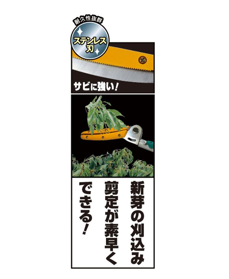 送料無料 剪定用具 1kg をきる超軽量 女性 お年寄りの方にもラクラク剪定 高枝切りバサミ 伸縮 ムサシ 園芸 ポールスリム ガーデニング用品 2段式 長刃 高枝切鋏 ガーデニング ガーデニング用品 園芸 園芸用品 Diy 代引不可 送料無料 リコメン堂 送料無料 剪定用具 1kg をきる超軽量 女性 お年寄りの方にもラクラク剪定 高枝切りバサミ 伸縮 ムサシ 園芸 ポールスリム ガーデニング用品 2段式 長刃 高枝切鋏 ガーデニング ガーデニング用品 園芸 園芸用品 Diy 代引不可 送料無料 リコメン堂