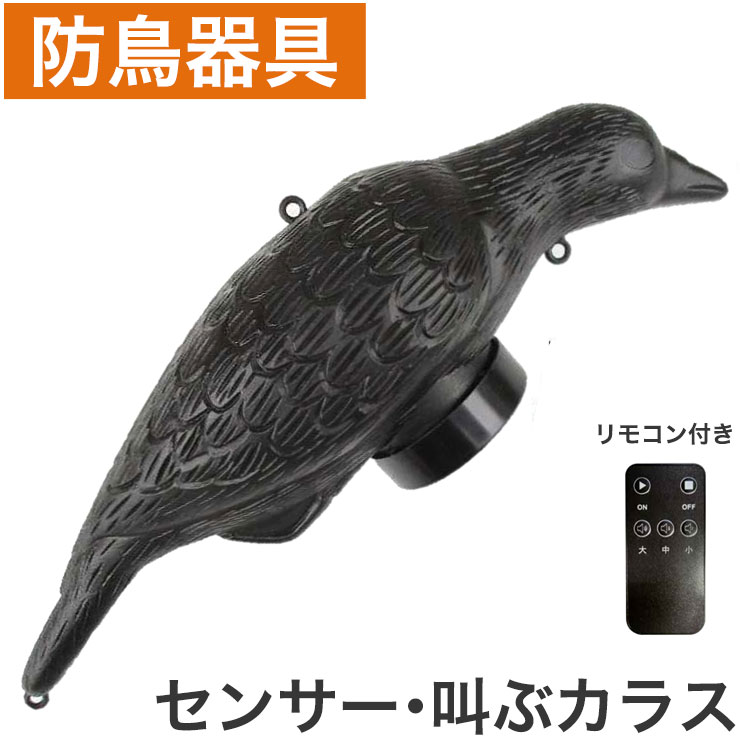 楽天市場】センサー式 防鳥コール カラス 電池式 単三 2本 昼夜光