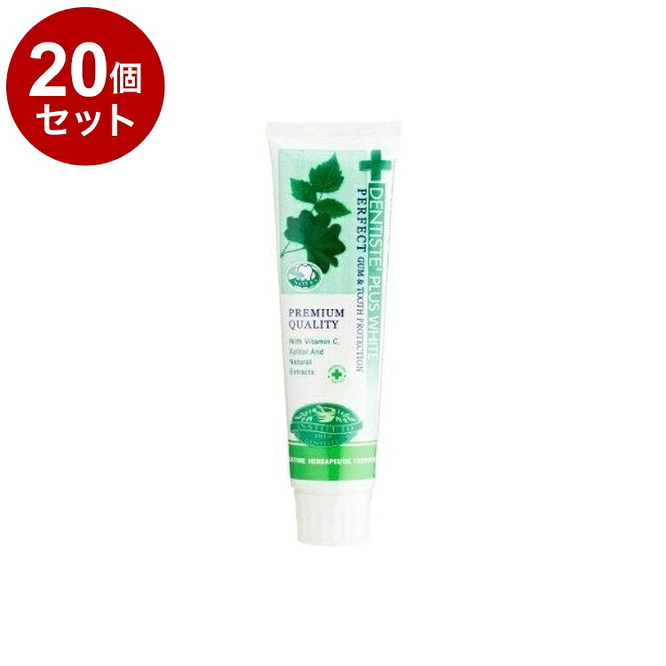 【単品20セット】 デンティス エチケット ペースト ハミガキ粉 100g ミント DENTISTE【ポイント10倍】【送料無料】