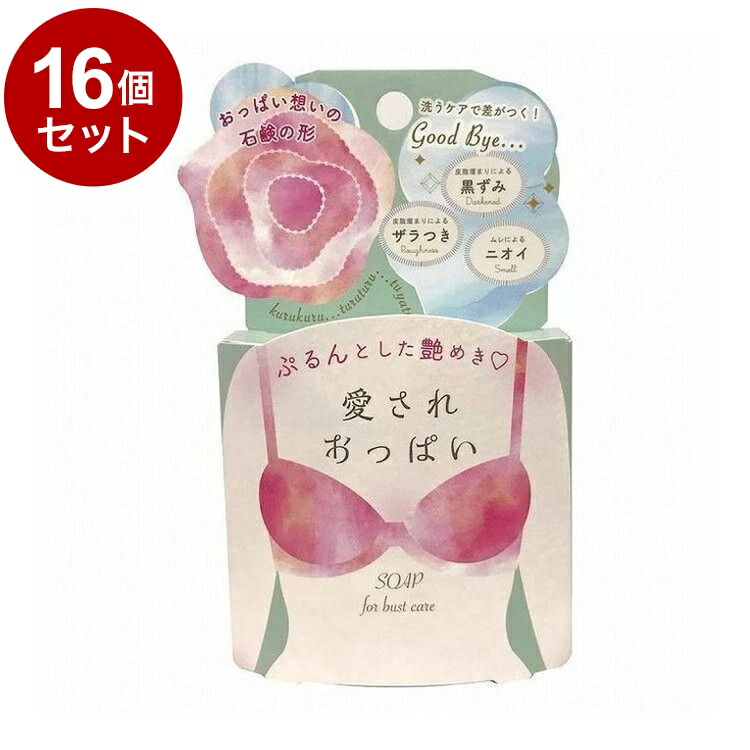 【単品16個セット】 愛されおっぱい 70g ボディケア スキンケア 角質ケア【ポイント10倍】【送料無料】 7,935円