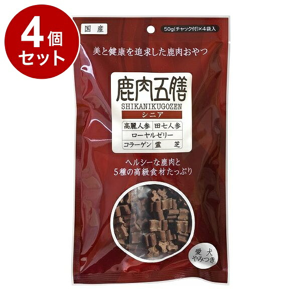 綿毛布団特集