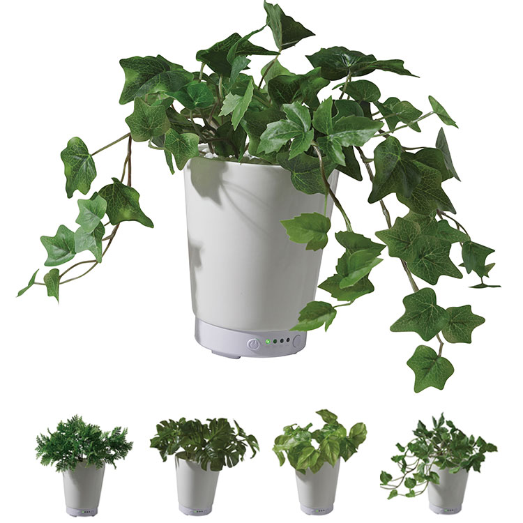 楽天市場】グリーンアロマミスト 超音波式加湿器 GREEN AROMA