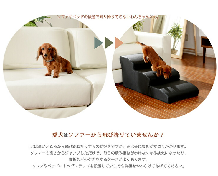 でおすすめアイテム スロープ ステップ 4段 ドッグステップ 奥行き80cm 小型犬 代引不可 送料無料 介護用 ステップ 階段 日本製 ステップ ペット 犬 犬用 スロープ ペット用階段 段差 コンビニ受取対応商品 Www Hpnhaiti Com