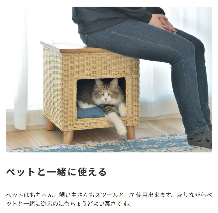 ペットハウススツールラタン素材天然パイン天板ペットドッグハウス椅子イスペットスツール天然木ラタン(代引不可)【送料無料】
