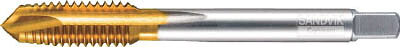 サンドビック コロタップ【EP1CPJ1-M5X0.5】(ねじ切り工具・ポイントタップ)【送料無料】