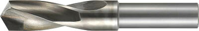 ＦＫＤ 超硬付刃スリムシャンクドリル22【SLD22】(穴あけ工具・超硬ドリル)【送料無料】｜リコメン堂