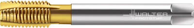 ワルター プロトティップ Ｈ ポイントタップ（ＴＩＮコート）【JC2036005-M12】(ねじ切り工具・ポイントタップ)【送料無料】