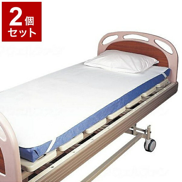【単品2個セット】ピジョンタヒラ 簡単ベッドメイキング防水シーツ 108082AA(代引不可)【送料無料】 10,950円