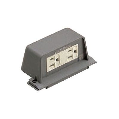 パナソニック F型フロアコンセント 接地2Pダブルコンセント 15A 125V (NE23130)【送料無料】