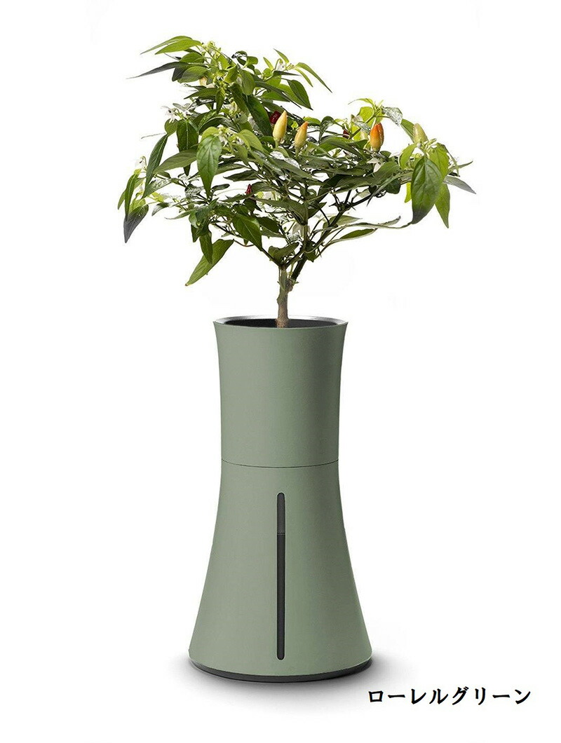 スマート水耕栽培キット ボタニアム 野菜 華 花 植物 飼育 部屋 家 料理 育てる 栽培 花瓶 植木 植木鉢 おしゃれ スマート 送料無料 Kanal9tv Com