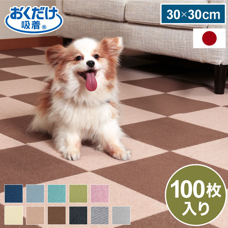 ＼6月のお買い得！／いなばのごはん・お兄ちゃん特集