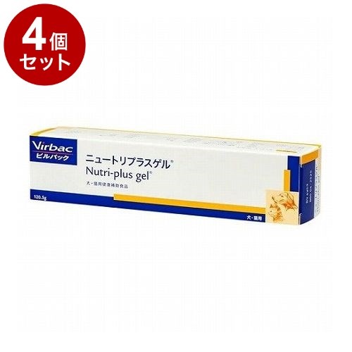 ＼5月のお買い得！／いなばのごはん・お兄ちゃん特集 サプリメント-ペット・ペットグッズ