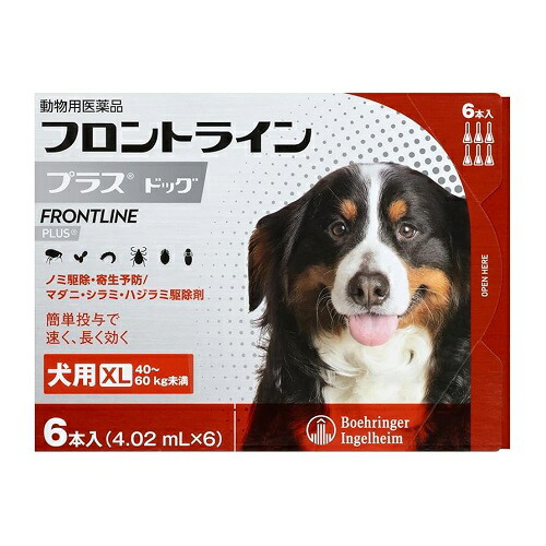 ＼6月のお買い得！／いなばのごはん・お兄ちゃん特集
