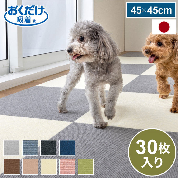 ＼6月のお買い得！／いなばのごはん・お兄ちゃん特集