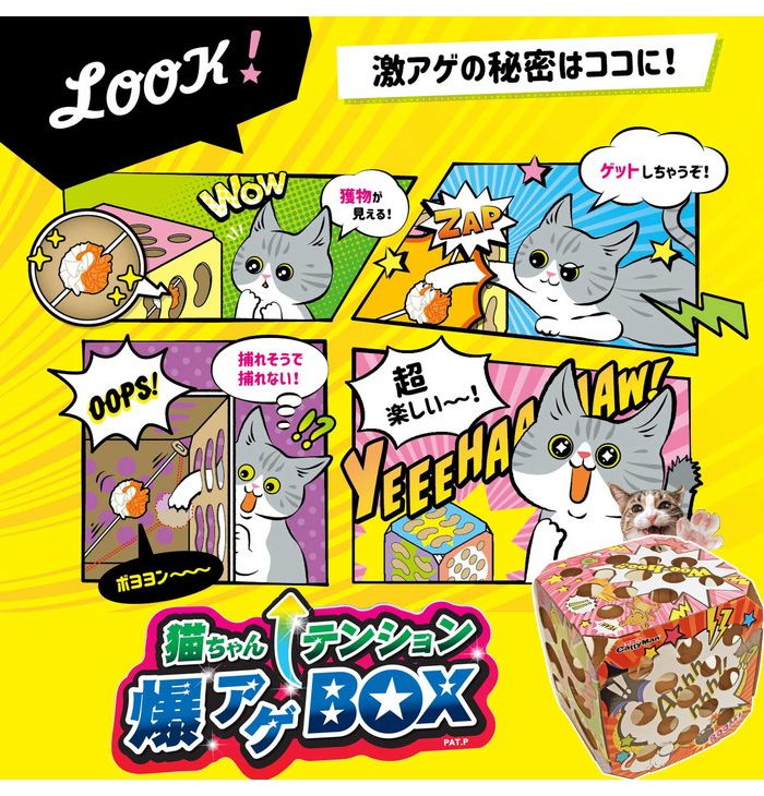 ドギーマンハヤシドギーマン猫ちゃんテンション爆アゲBOX