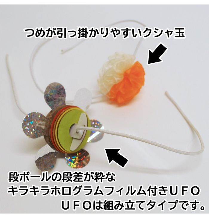 ドギーマンハヤシドギーマン猫ちゃんテンション爆アゲBOX