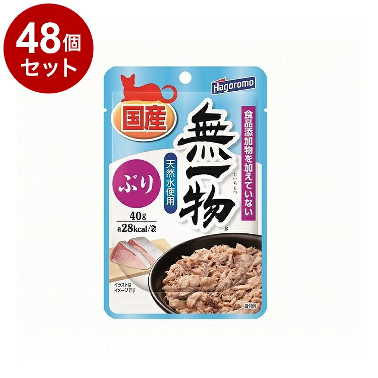 【48個セット】 はごろもフーズ 無一物パウチ ぶり 40g【送料無料】