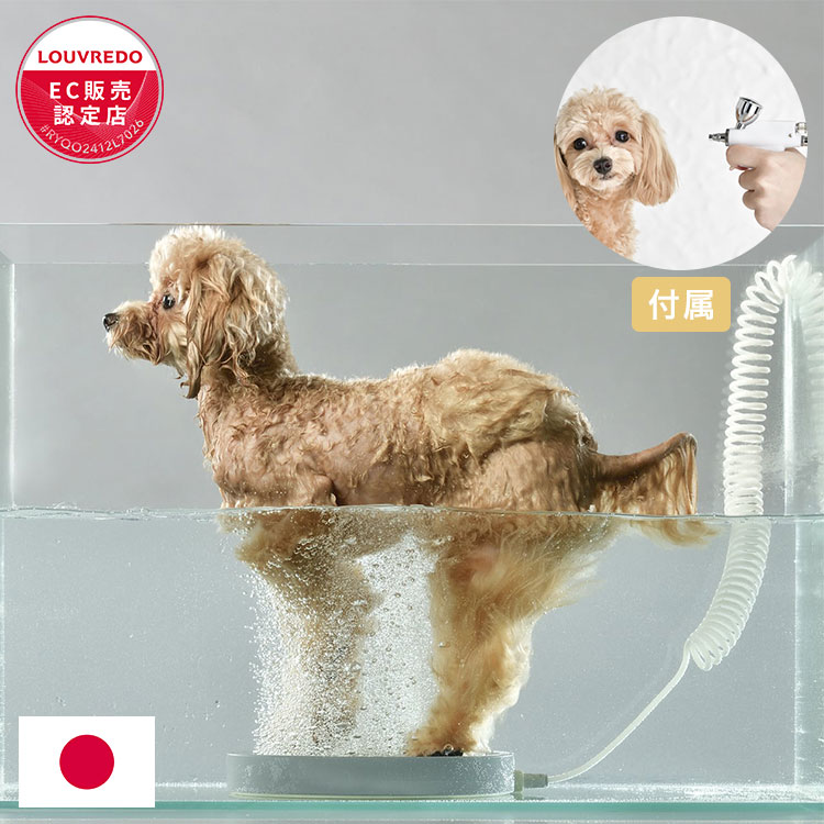＼6月のお買い得！／いなばのごはん・お兄ちゃん特集