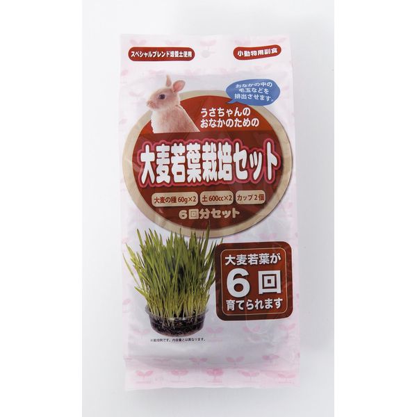 アラタ 【海外正規品】 うさちゃん用大麦若葉栽培セット6回分 63%OFF