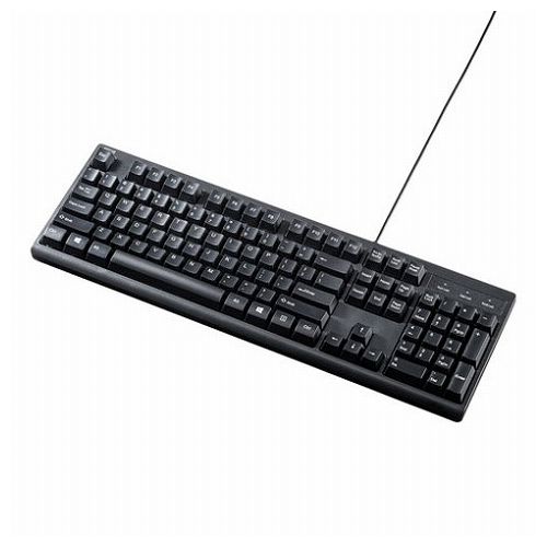 サンワサプライ 英語PS/2キーボード SKB-E5PBK(代引不可)【送料無料】 4,152円
