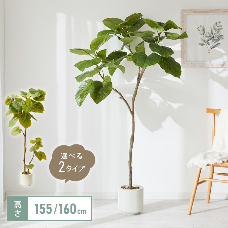 人工観葉植物 ウンベラータ フェイクグリーン 大型 155cm 160cm フィカス 植物 おしゃれ ナチュラル シンプル フェイク 造花 リアル 観葉植物 リビング インテリア 玄関 室内 ギフト お祝いプレゼント【送料無料】 の商品写真