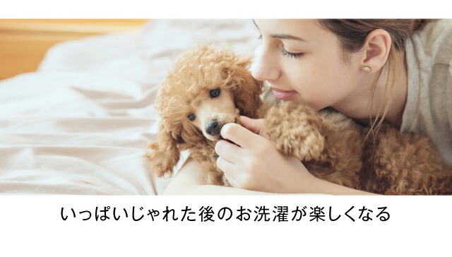 フリーランドリー Freelaundry 洗濯 ペット プロ スポンジ 洗濯グッズ 3個入