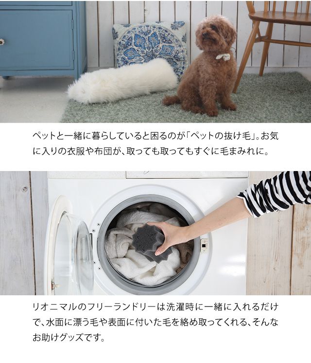 フリーランドリー Freelaundry 洗濯グッズ ペット 2個入 スポンジ 洗濯 プロ