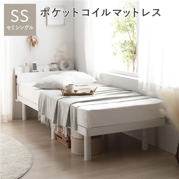 ＼新商いものが今だけお買い得！／