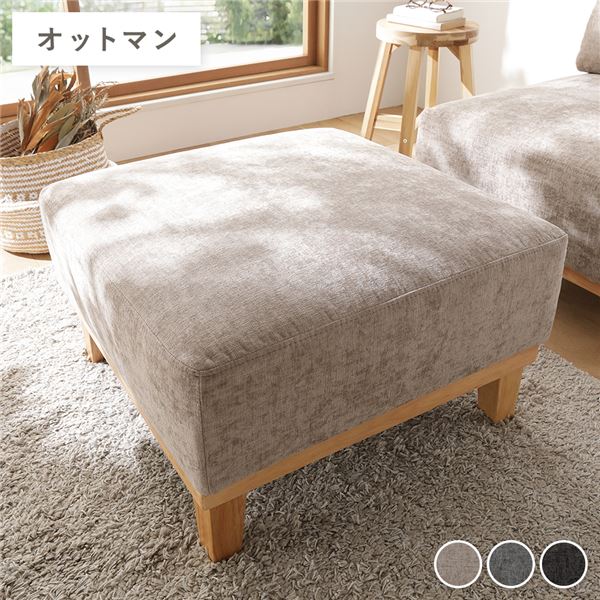 ＼新商いものが今だけお買い得！／