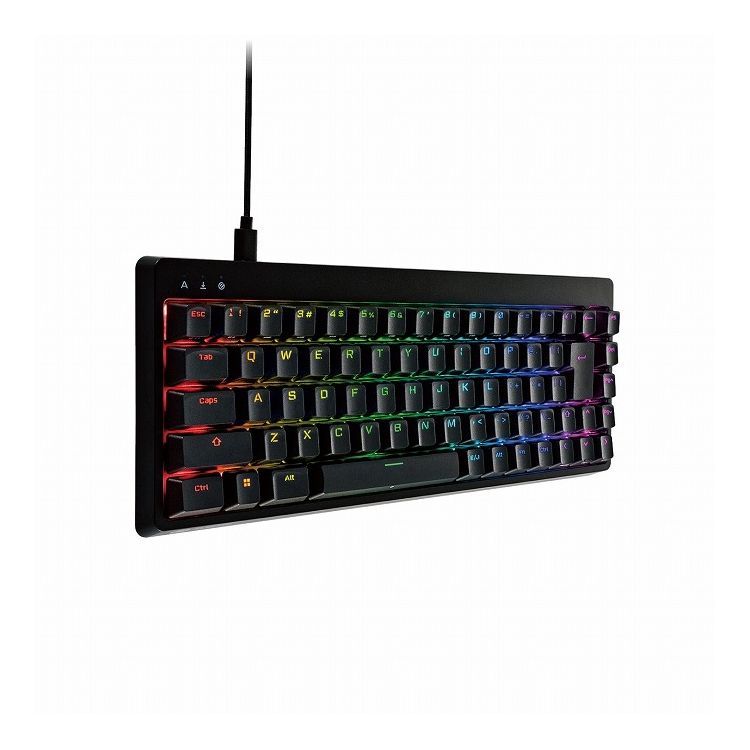 エレコム ゲーミングキーボード V custom 有線 着脱式ケーブル RGB メカニカル 銀軸 / スピードリニア 日本語配列 テンキーレス USB Aポート×1 ブラック TK-VK300SBK(代引不可)【送料無料】