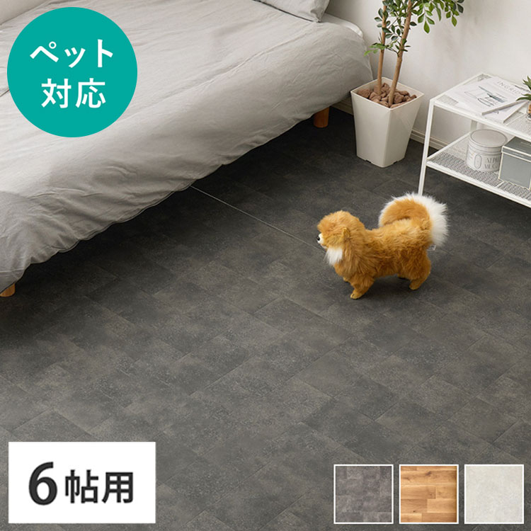 ＼新商いものが今だけお買い得！／