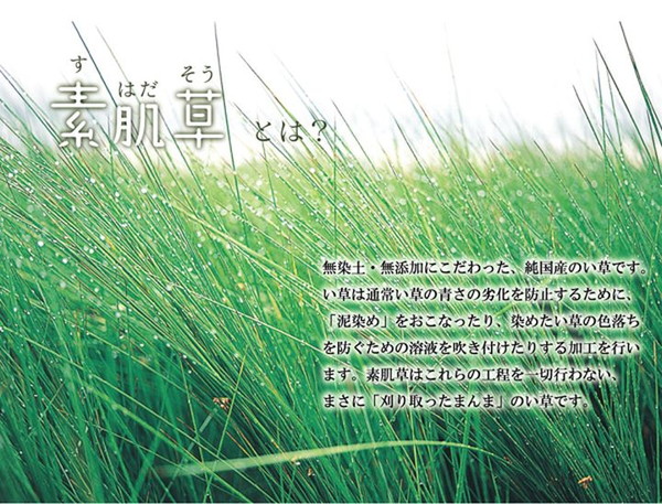 楽天市場】い草 マット い草マット お昼寝マット ベビー 寝具 国産 ...