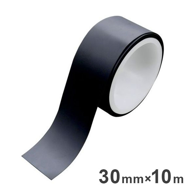 レイシス 害虫忌避 30mm×10m巻 黒 簡単 虫取り 害虫取り 無視対策 効果範囲 約1m 防虫対策(代引不可)【送料無料】 8,470円