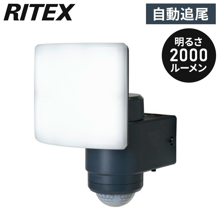 ＼新商いものが今だけお買い得！／