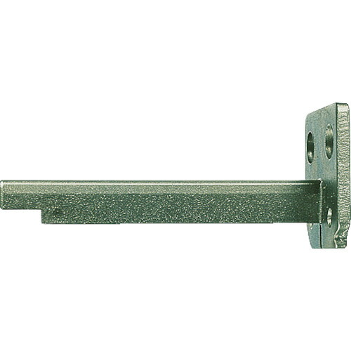BOSCH ボッシュ ガイド300mm 2608135022【送料無料】