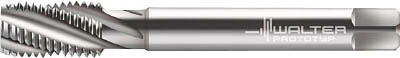 ワルター プロトティップ ＮＩ スパイラルタップ【JC204602-M10】(ねじ切り工具・スパイラルタップ)【送料無料】