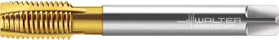 ワルター プロトティップ Ｈ ポイントタップ（ＴＩＮコート）【JC2036005-M12】(ねじ切り工具・ポイントタップ)【送料無料】