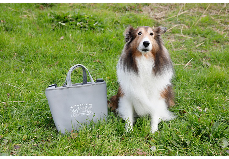 人気no 1 お散歩バッグ Np ネオプレーン グレー 散歩グッズ トートバッグ ショルダーバッグ おしゃれ かわいい シービージャパン Cbジャパン 送料無料 Toyama Nozai Co Jp