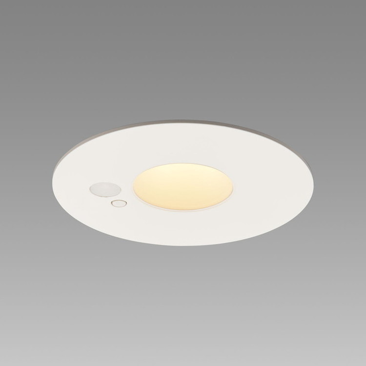ダウンライト DD-3487-LL【送料無料】｜リコメン堂インテリア館