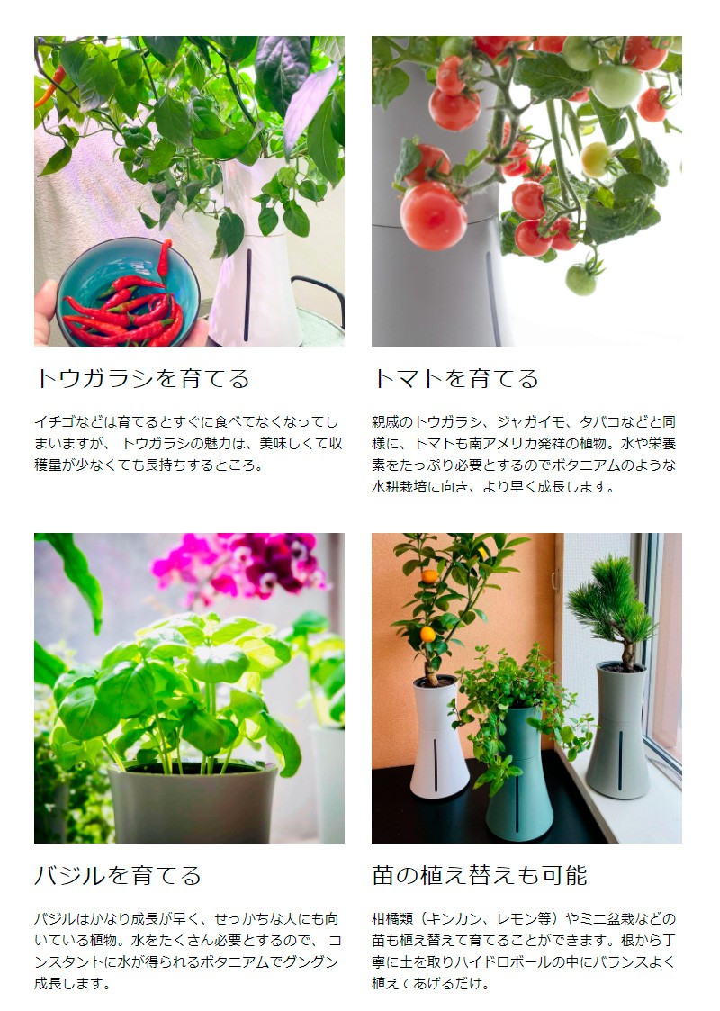 スマート水耕栽培キット ボタニアム 野菜 華 花 植物 飼育 部屋 家 料理 育てる 栽培 花瓶 植木 植木鉢 おしゃれ スマート 送料無料 Soundtennis Net