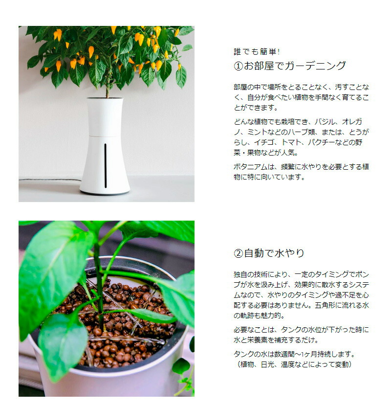 小意気水耕養う道具一式 ボタニアム 草片 御全盛期 花 植物 繁殖 部屋 家宅 皿に盛った料理 育種 栽培 華瓶 植木 植木鉢 格好いい スマート 送料無料 Geo2 Co Uk