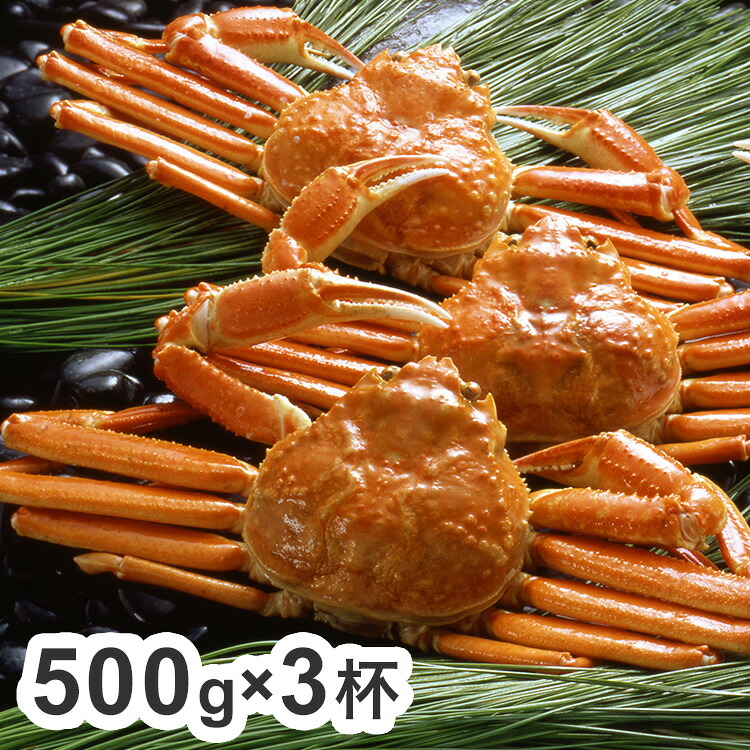 ボイル ずわいがに 蟹 姿 500g×3杯 カニ ズワイガニ ギフト 産直 ご当地グルメ 熨斗 贈り物 新生活 お祝い お取り寄せ のし対応 (代引不可)【送料無料】