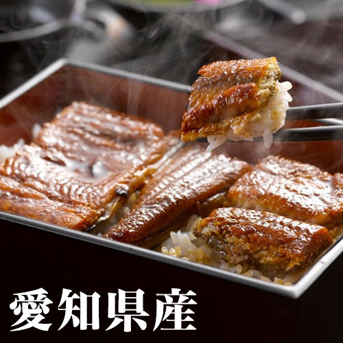 うなぎ割烹 一愼 うなぎ蒲焼セット 55g×9 土用の鰻 蒲焼 お中元 丑の日 夏ギフト お取り寄せグルメ 熨斗 のし ギフト プレゼント (代引不可)【送料無料】|リコメン堂生活館