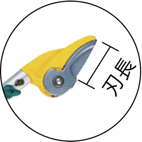 ＼お買い出しマラソン／お買い得商いものをご引き合わせる! 剪定用具-園芸用はさみ