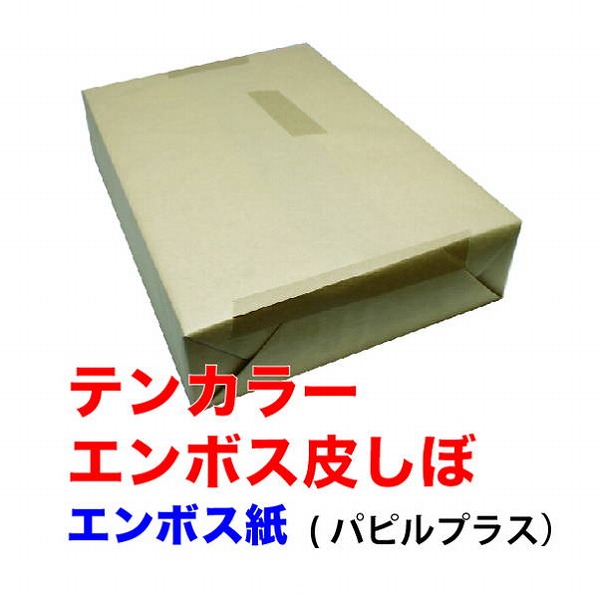 テンカラーエンボス皮しぼ象牙203.7g/m2(175)A3Y(代引不可)