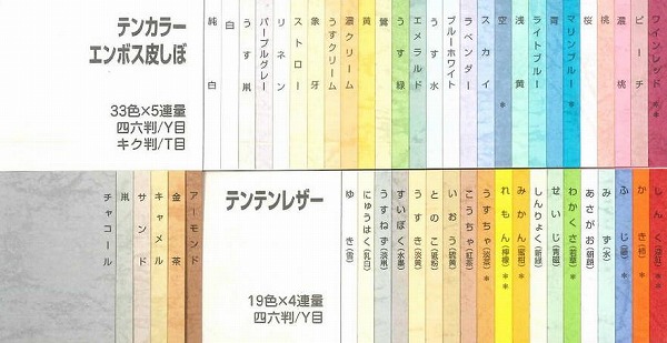 テンカラーエンボス皮しぼ象牙203.7g/m2(175)A3Y(代引不可)