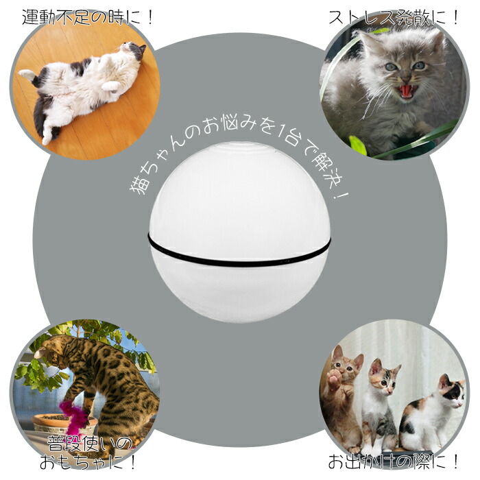 ペット専用 電動 ネコじゃらし ボール 一人遊び 動く 犬 猫じゃらし おもちゃ 回転 送料無料 キャットボール ドッグボール 激安の 43 割引 Festina Pl